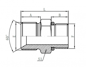 1BG- BSP Male Double for 60° Seat Bonded Seal × BSPT Male O-ring