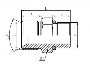1BH- BSP Male Double for 60° Seat Bonded Seal × Metric Male L-Series