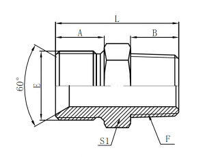 1BT- BSP Male Double for 60° Seat Bonded Seal × BSPT Male