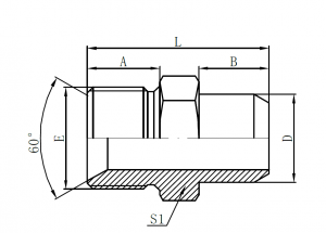 1BW- BSP Male Double for 60° Seat Bonded Seal × Butt-Weld Tube