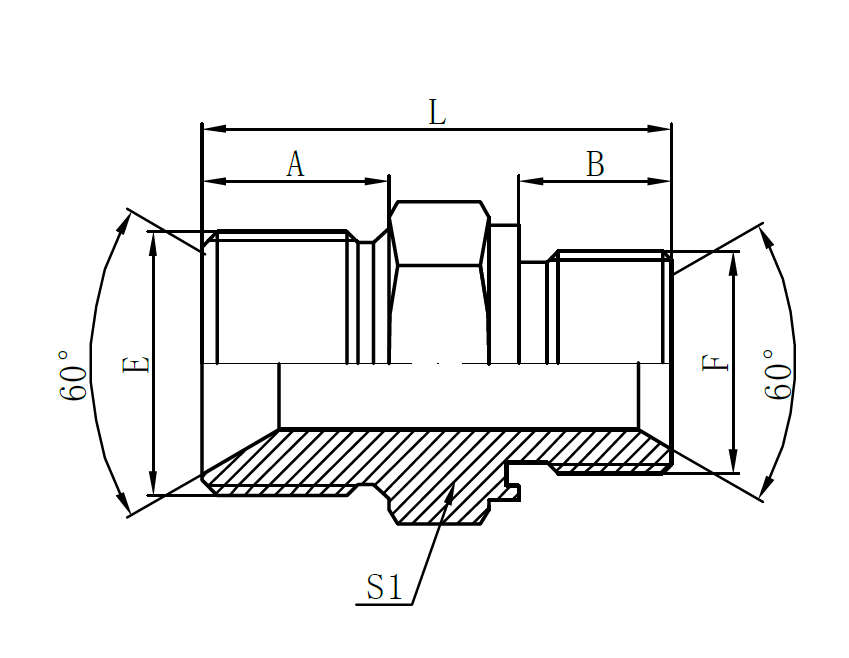 1B-WD- BSP Male Double for 60° Seat Bonded Seal × BSP Male Captive Seal