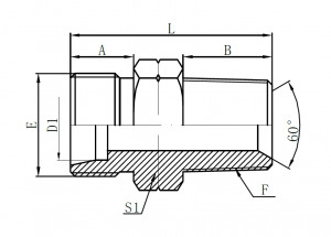 1CN-Metric Male 24° L.T. × NPT Male 60°