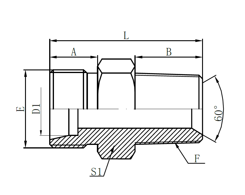 1CT-Metric Male 24° H.T. × BSPT Male 60°