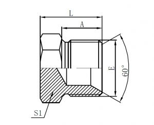 4B- BSP Male Double for 60° Seat or Bonded Seal Plug