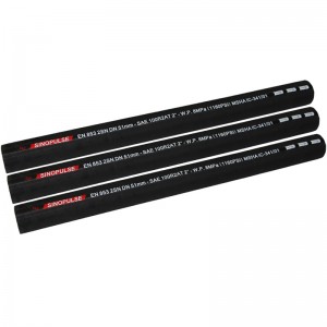 Hydraulic Hose DIN EN853 2SN/SAE100 R2AT