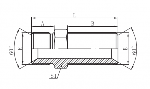 6B- BSP Male 60° Seat Bulkhead