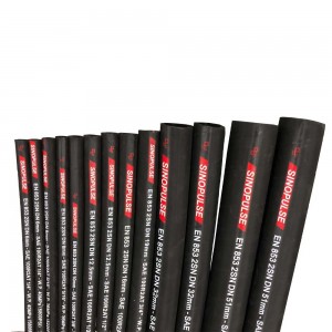 Hydraulic Hose DIN EN853 2SN/SAE100 R2AT