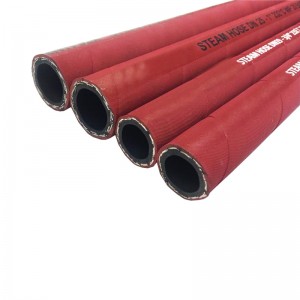 Steam Hose  ST250