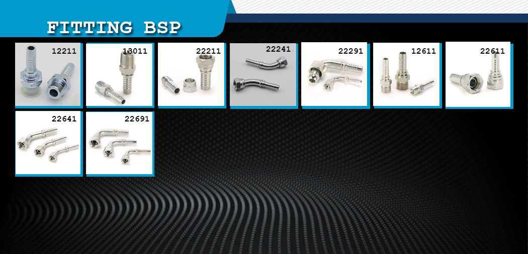 Hydraulic fitting BSP