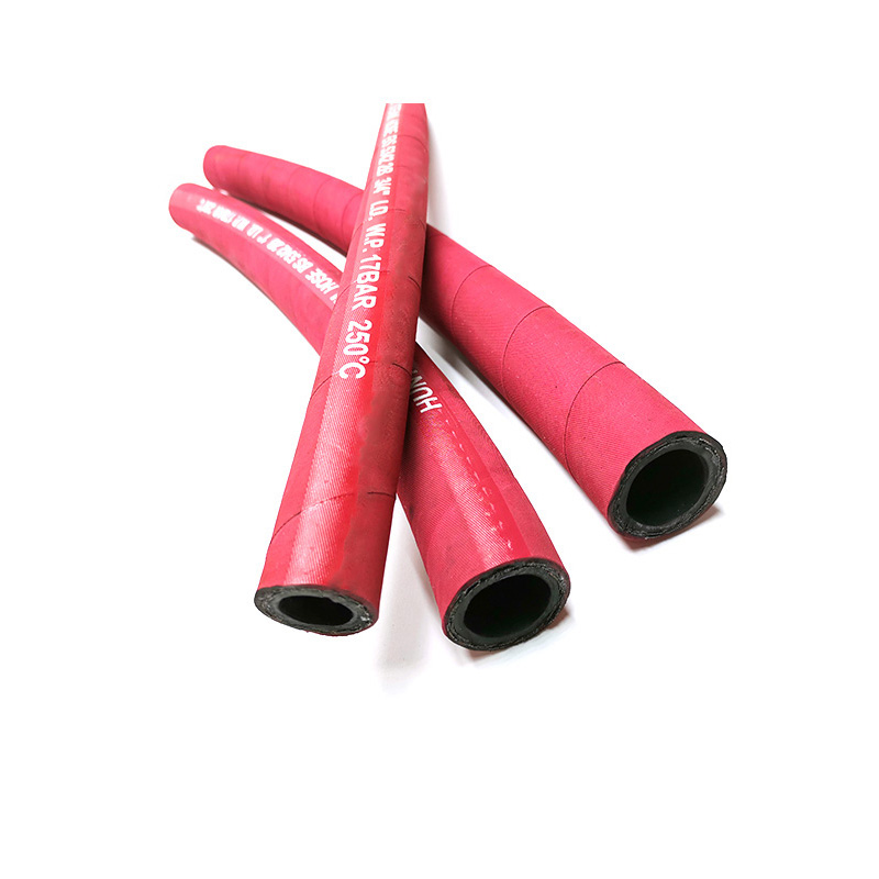 Steam Hose  ST250
