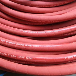 Steam Hose  ST250