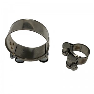 Robust clamp with solid trunnion